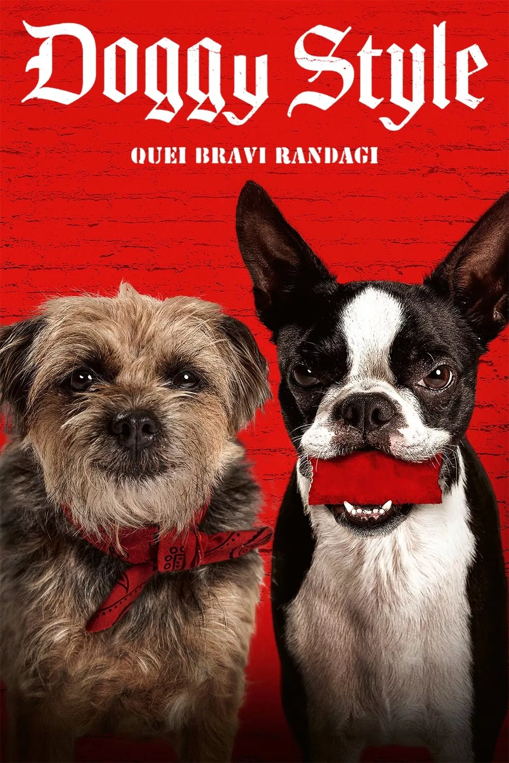 Doggy Style - Quei bravi randagi