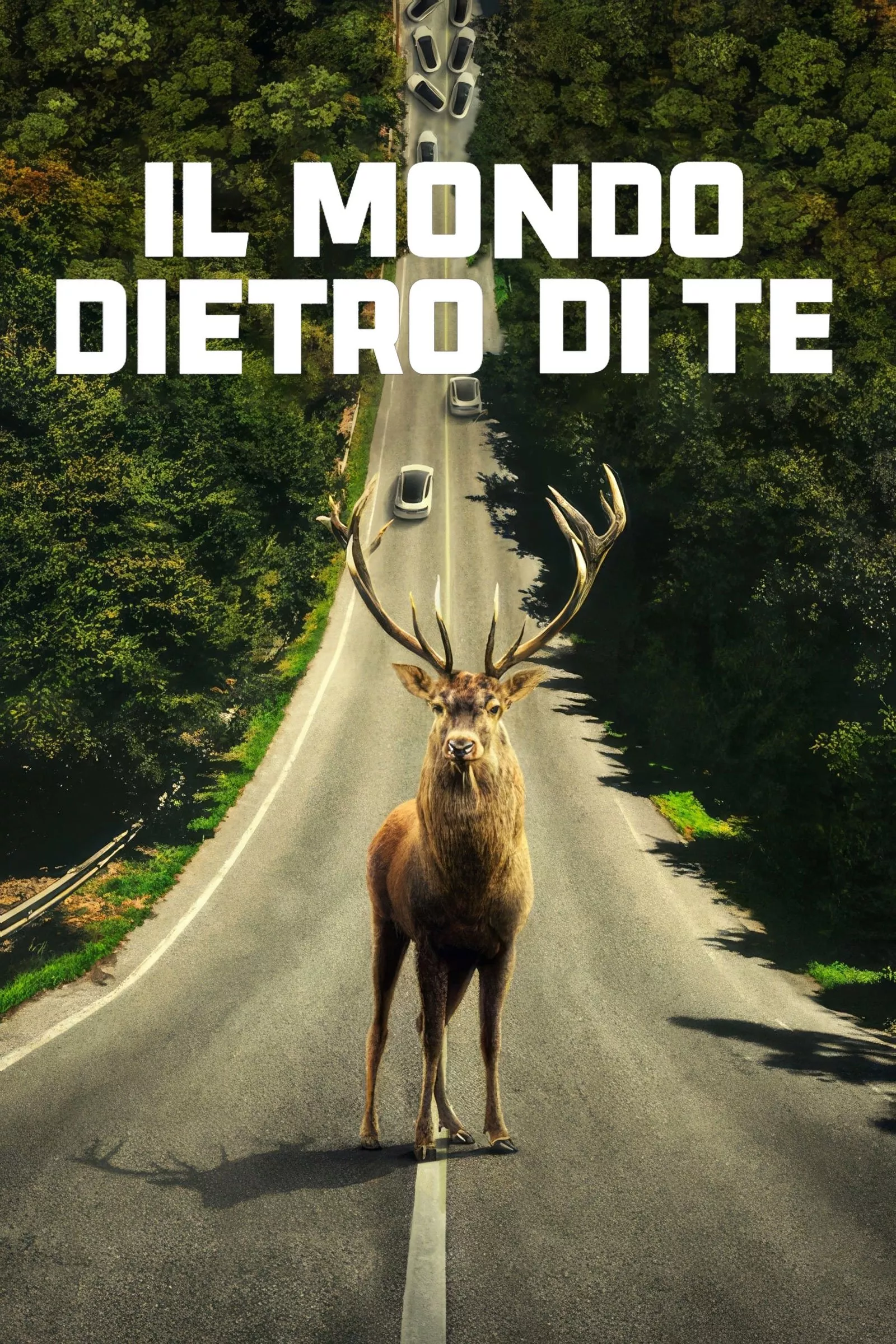 Il mondo dietro di te