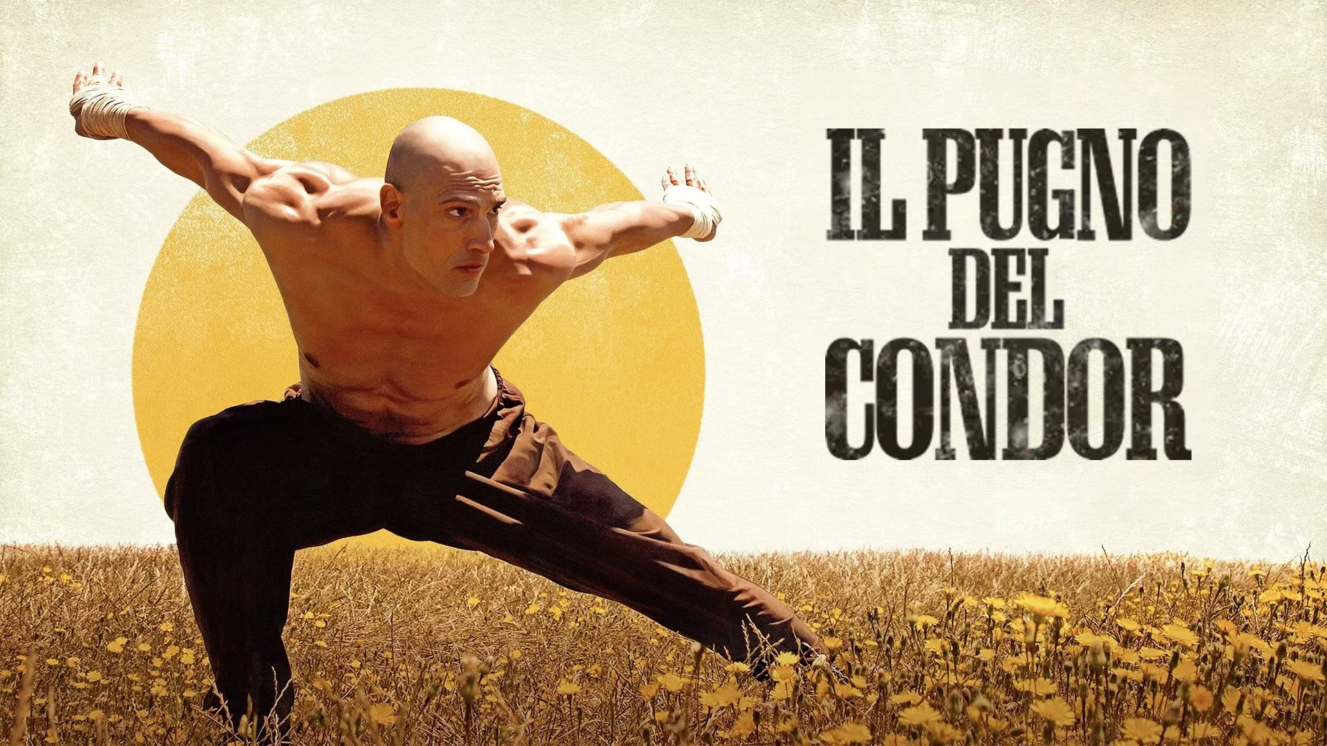 video-section-banner-image