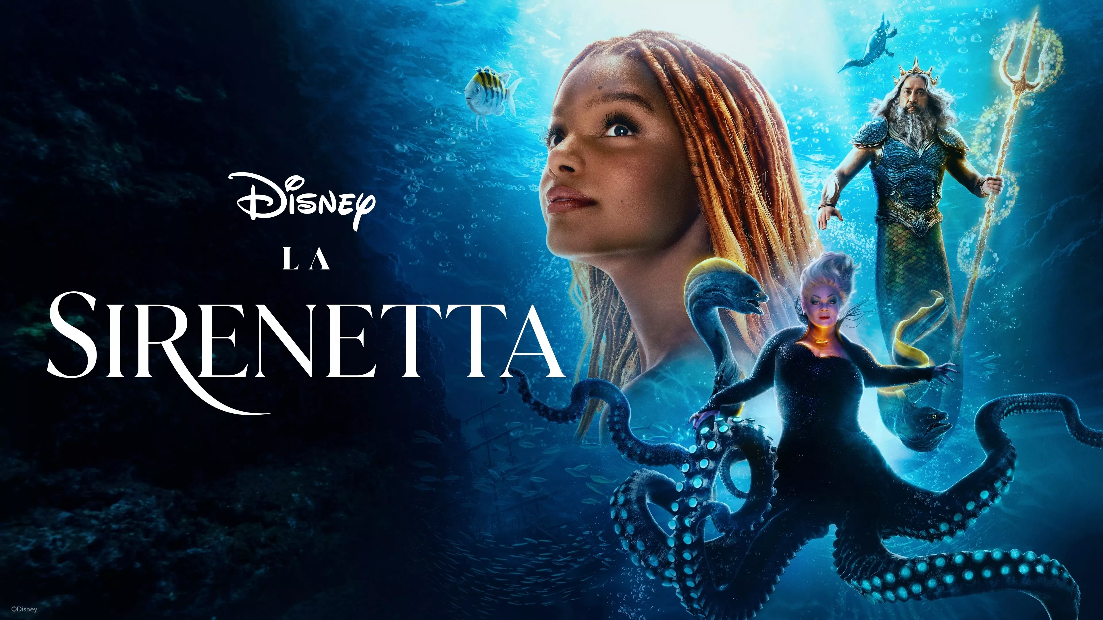 video-section-banner-image