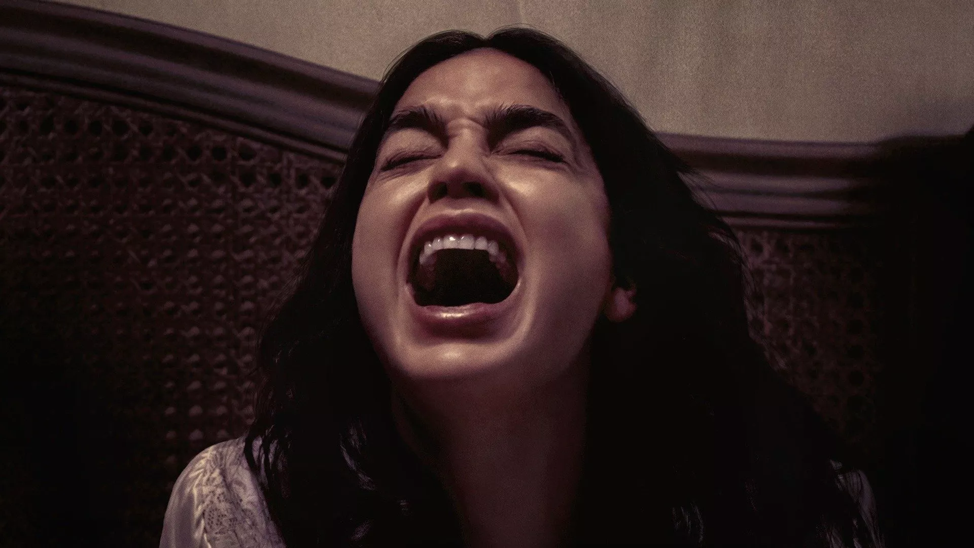 video-section-banner-image