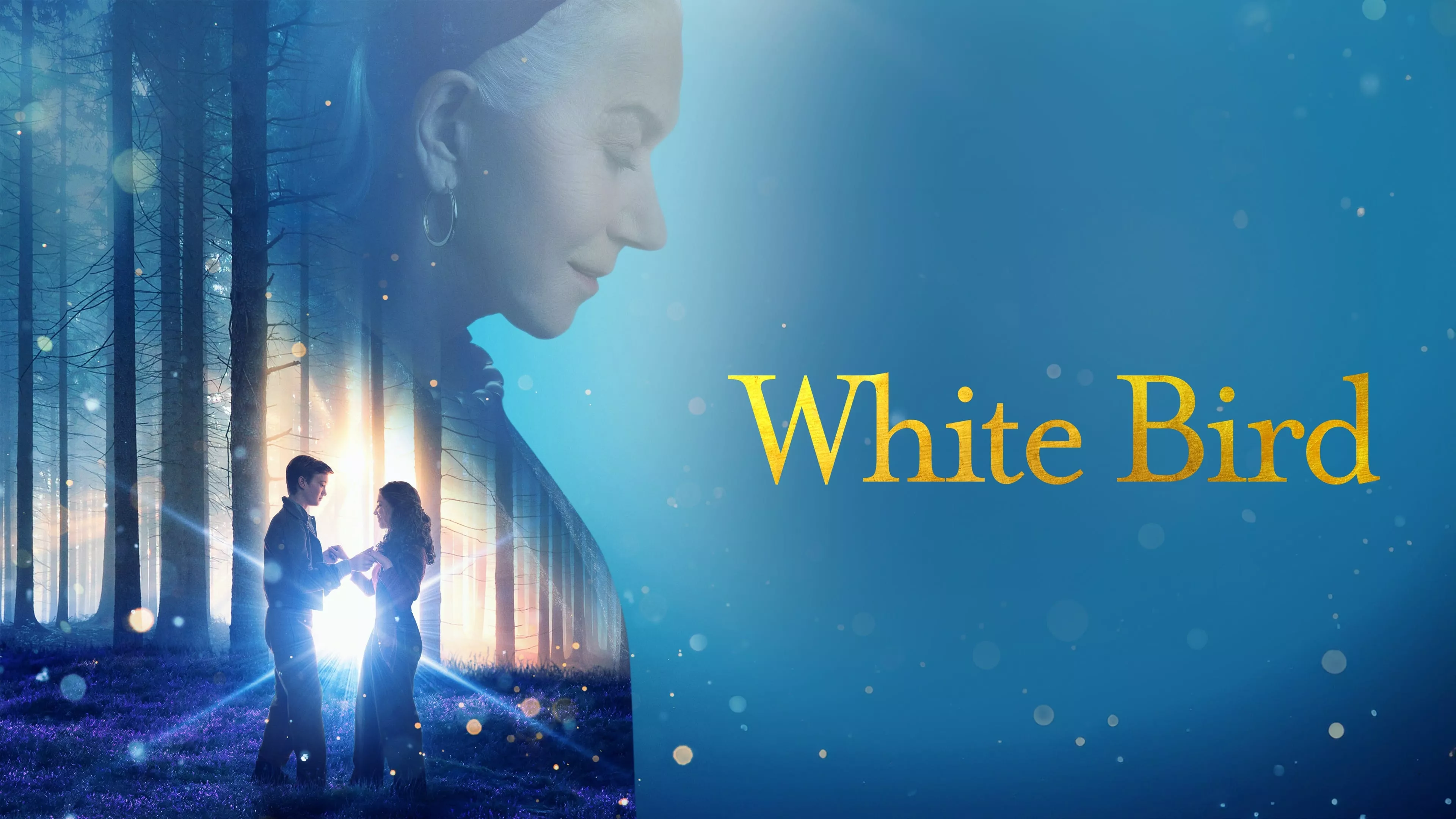 Wonder: White Bird