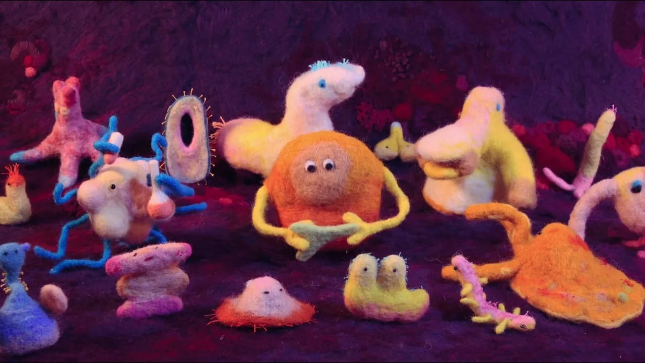 video-section-banner-image