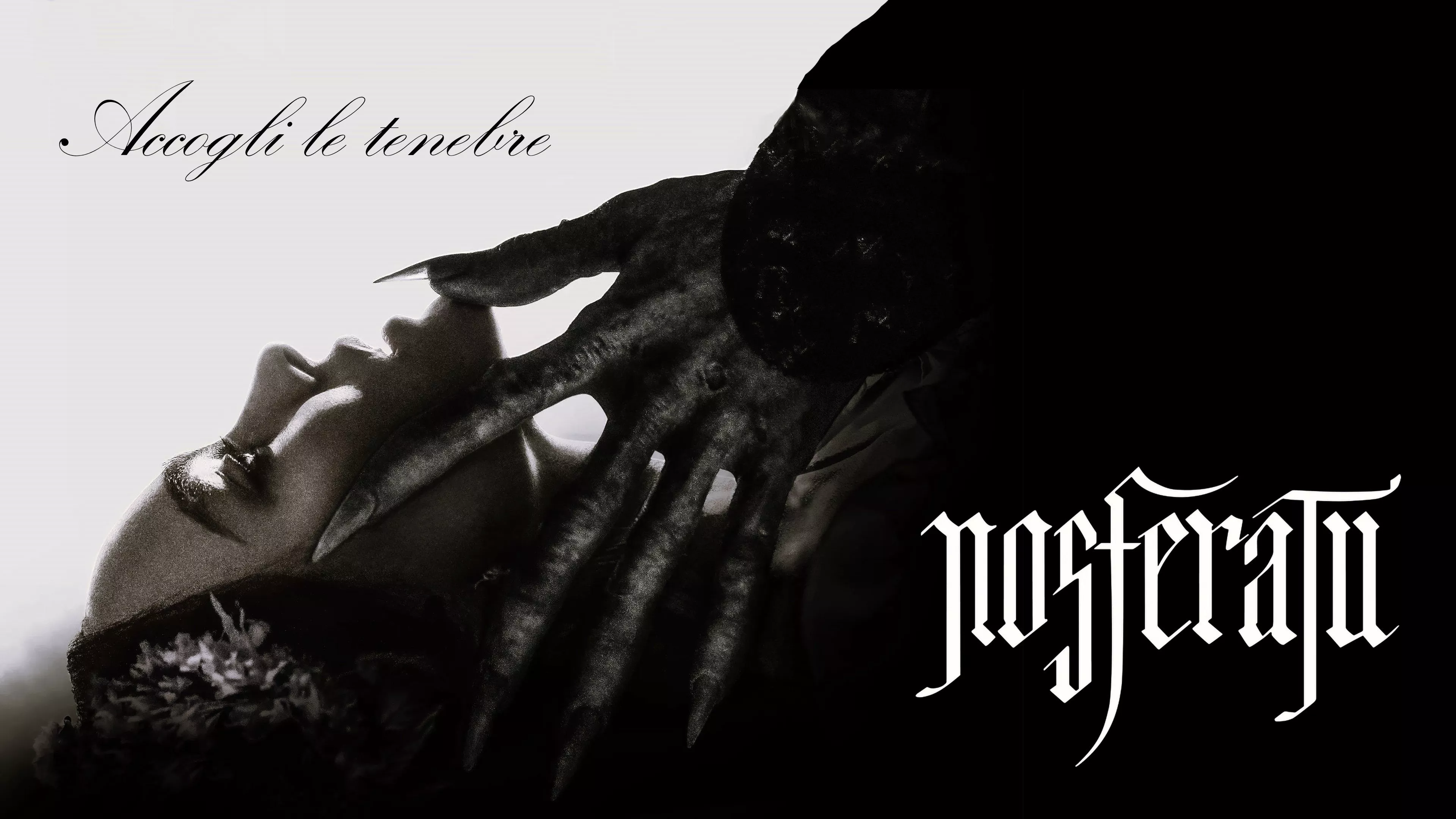 video-section-banner-image