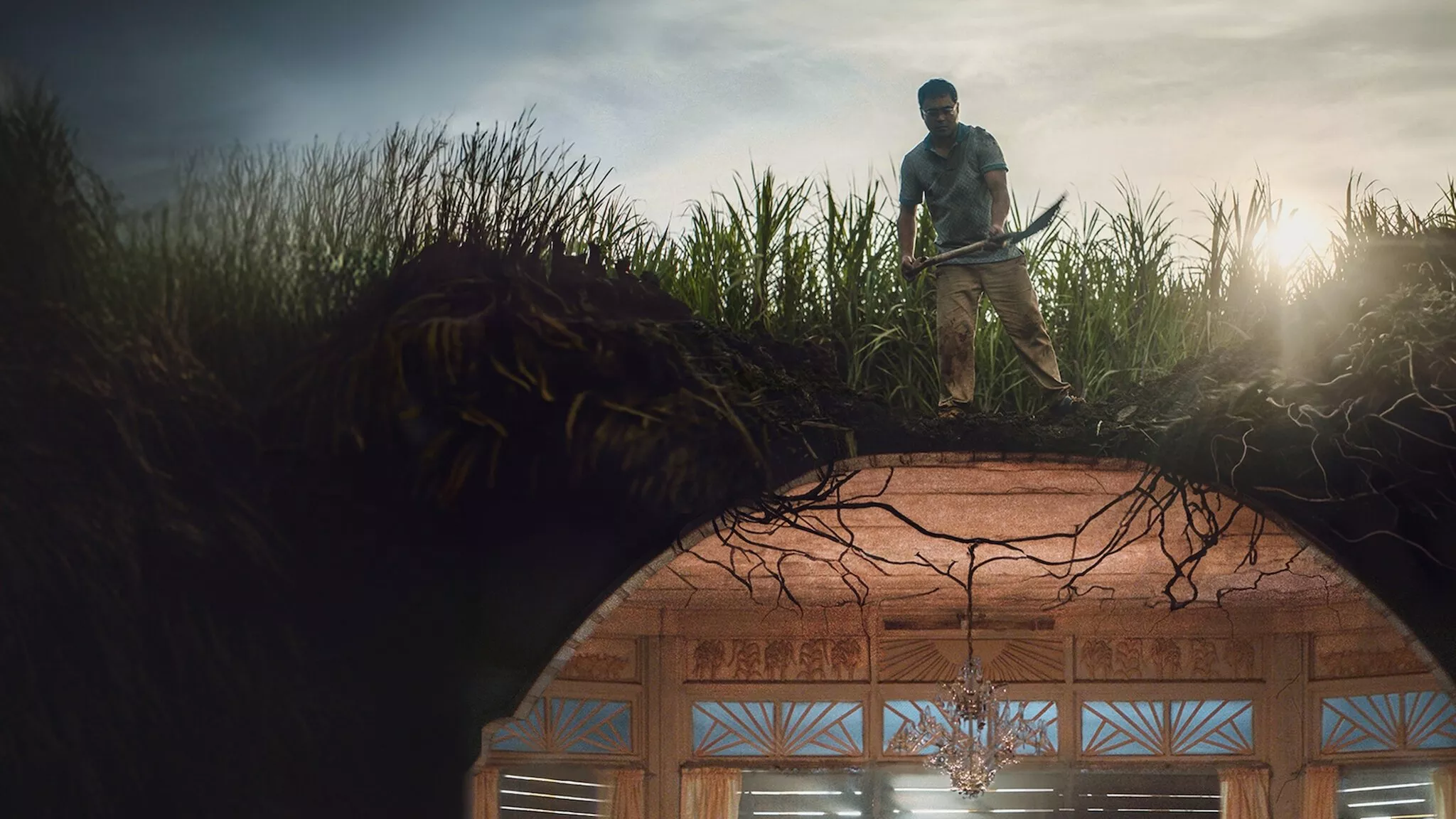 video-section-banner-image