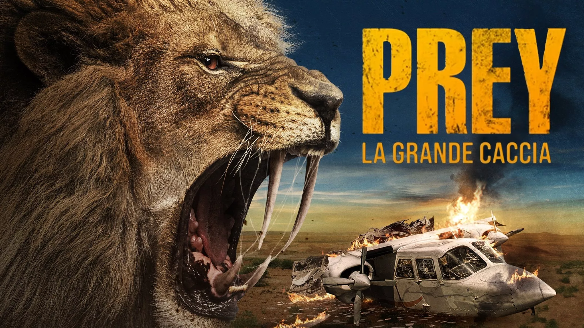 video-section-banner-image