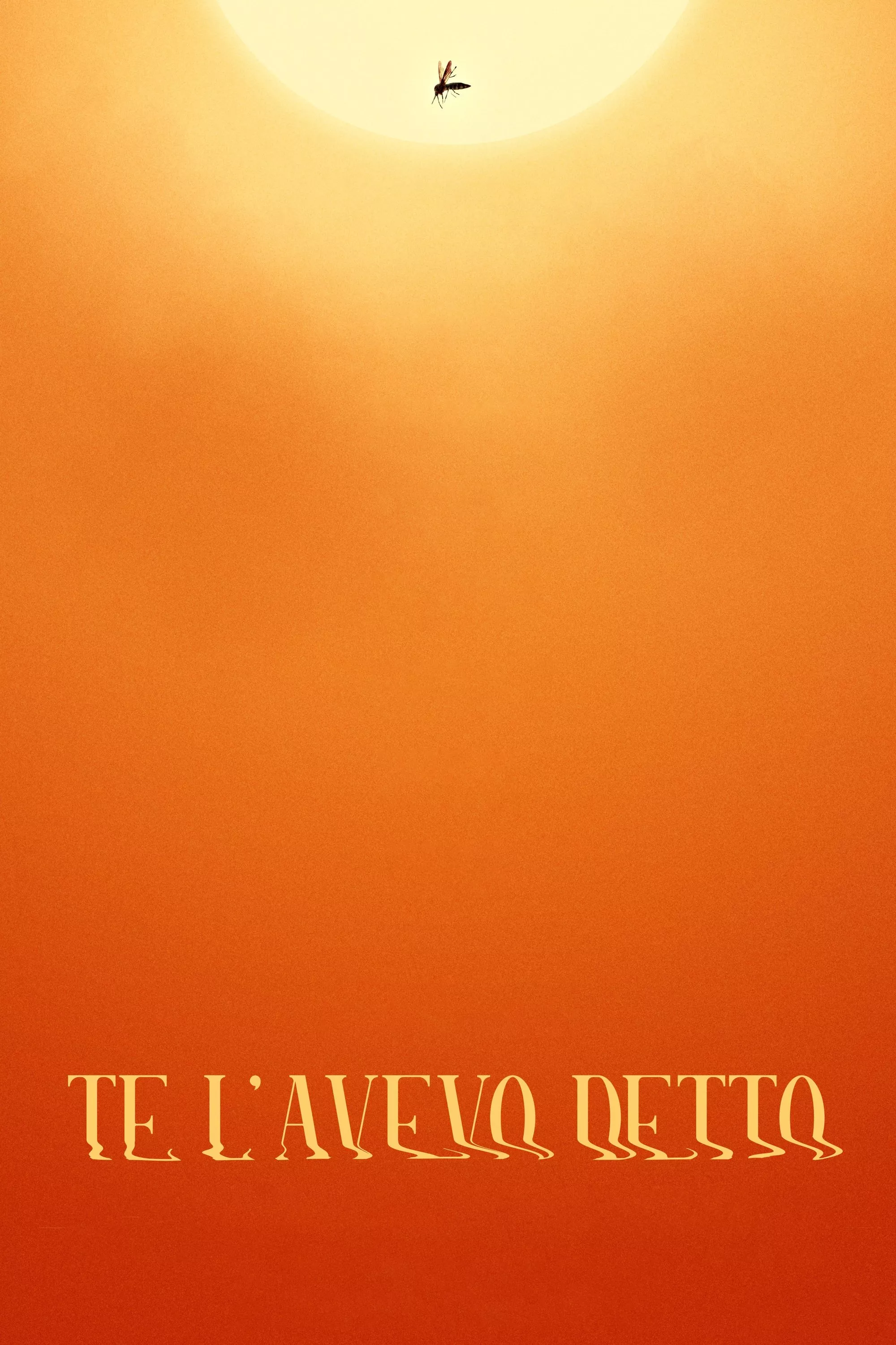 Te l'avevo detto